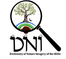 logo, science, DNI, tel aviv university